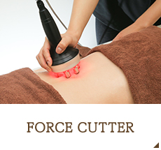 force_cutter_03