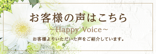 voice-banner-2